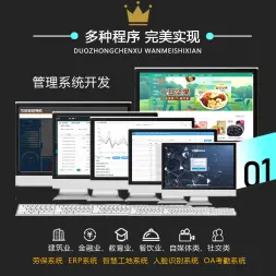 APP制作商城软件系统研发外包管理